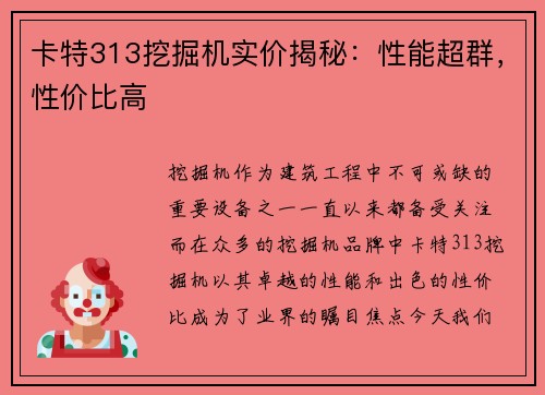 卡特313挖掘机实价揭秘：性能超群，性价比高